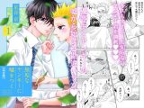 無垢なヤンキーに嘘をつく 完全版 VOL.1