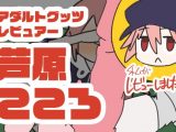 アダルトグッツレビュアー 芦原こころ
