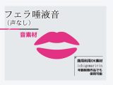 音素材「フェラ唾液音/声なし」～商用OK著作権フリー