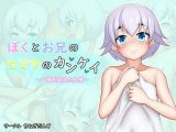 ボクとお兄のヒミツのカンケイ～一線を超えた兄弟～