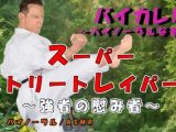 スーパーストリートレイパー！？-敗れたものは蹂躙され…〇辱され…子種と敗北感をうえつけられる…！！ ASMR/バイノーラル/格闘/レ〇プ/イマラチオ/妊娠/中出し