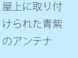 【無料】屋上に取り付けられた青紫のアンテナ