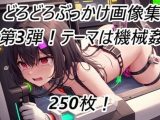 名倉礼屋 ニッチなどろどろ画像集 Vol.3 機械姦